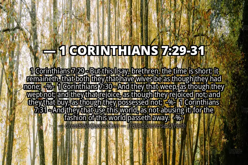 Image for 1 CORINTHIANS 7:29-31 Bible verse