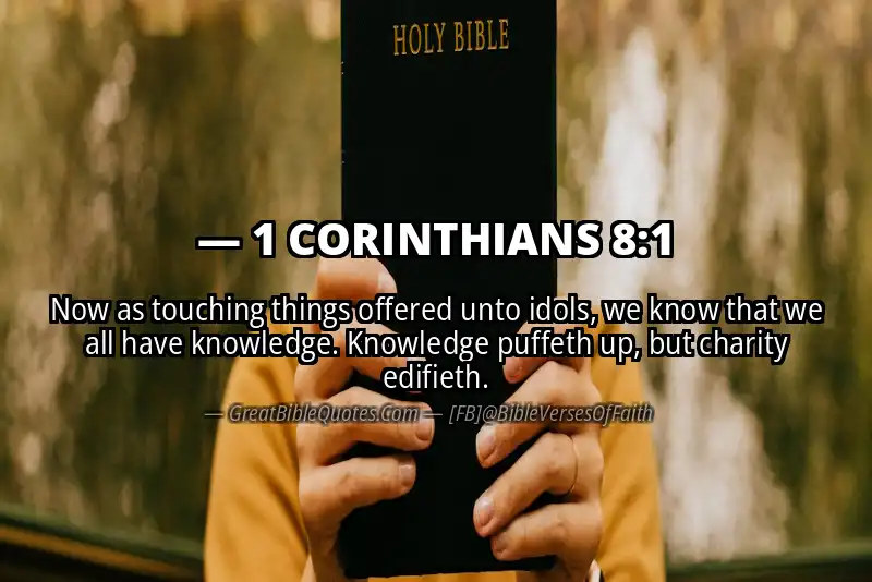 Bible verse: 1 CORINTHIANS 8:1 Image