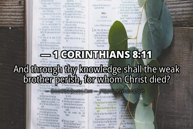 Bible verse: 1 CORINTHIANS 8:11 Image