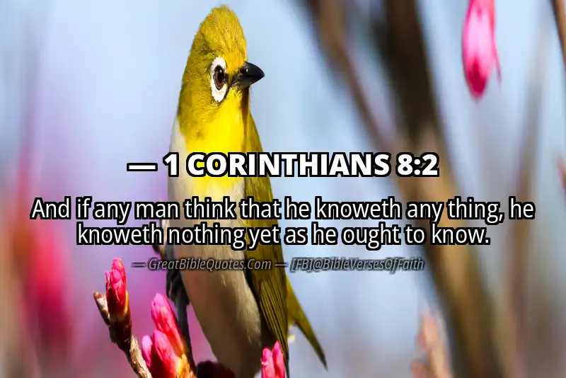 Bible verse: 1 CORINTHIANS 8:2 Image