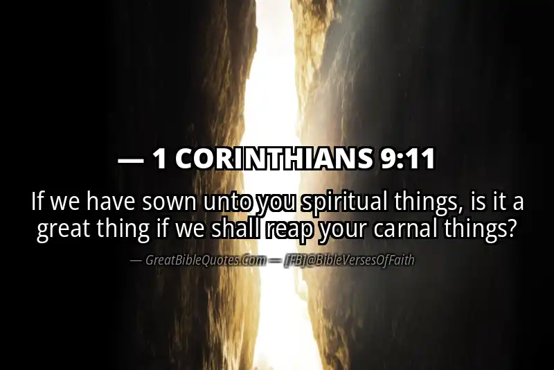 Bible verse: 1 CORINTHIANS 9:11 Image