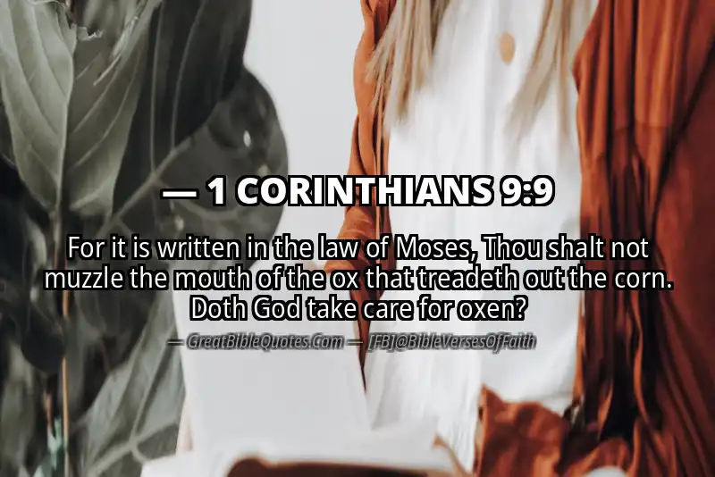 1 CORINTHIANS 9:9 Verse