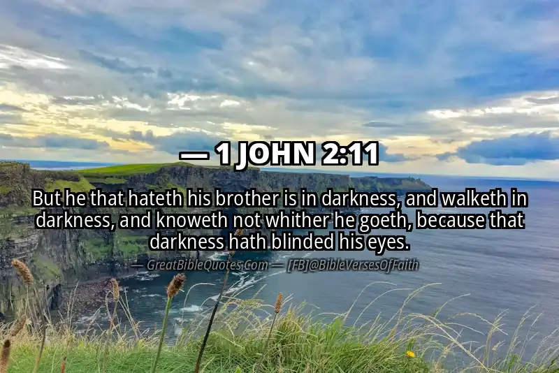 1 JOHN 2:11 Verse
