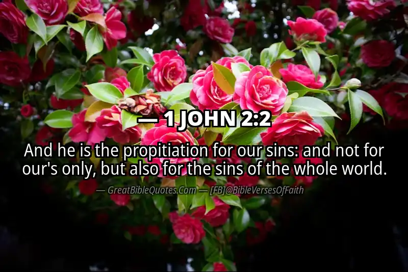 Bible verse: 1 JOHN 2:2 Image