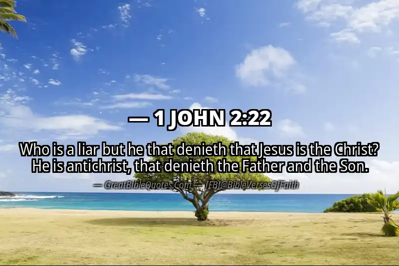 Bible verse: 1 JOHN 2:22 Image