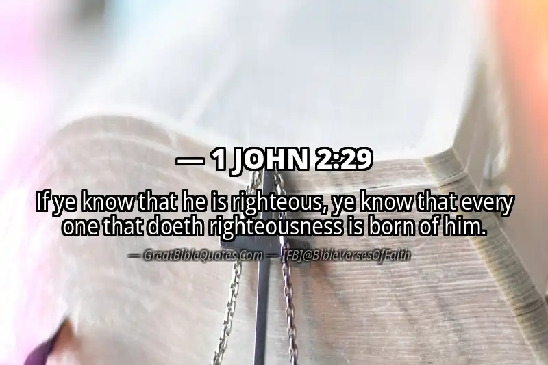 Bible verse: 1 JOHN 2:29 Image