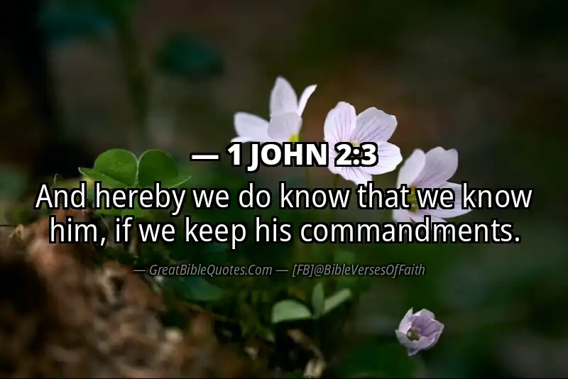 1 JOHN 2:3 Verse