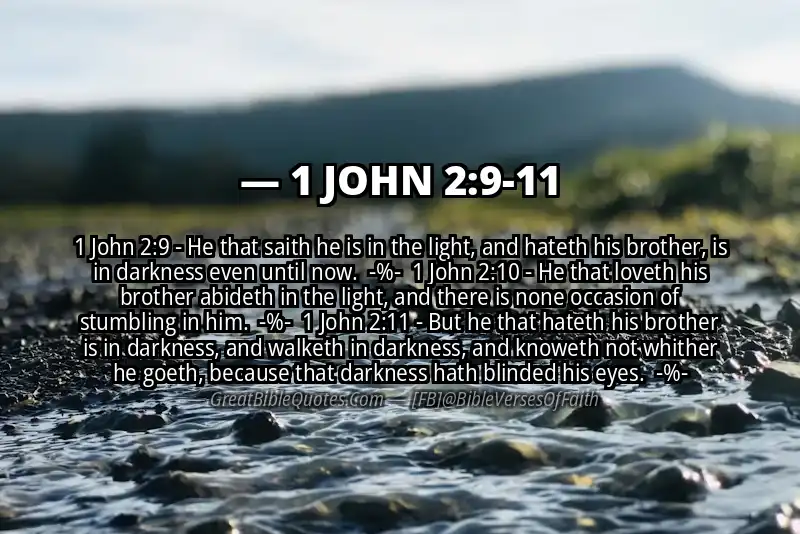 Image for 1 JOHN 2:9-11 Bible verse