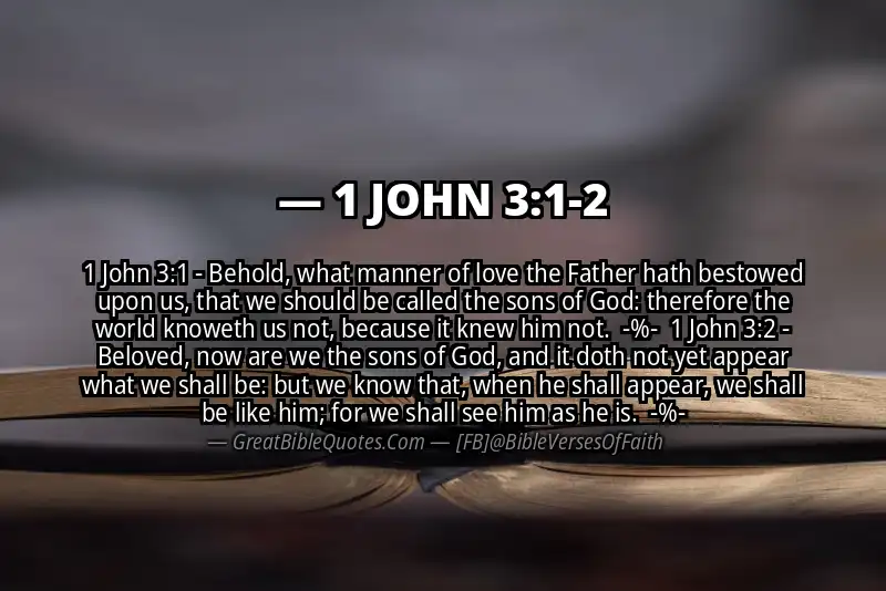 Image for 1 JOHN 3:1-2 Bible verse