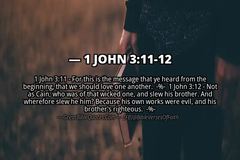 Image for 1 JOHN 3:11-12 Bible verse