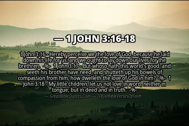 Image for 1 JOHN 3:16-18 Bible verse