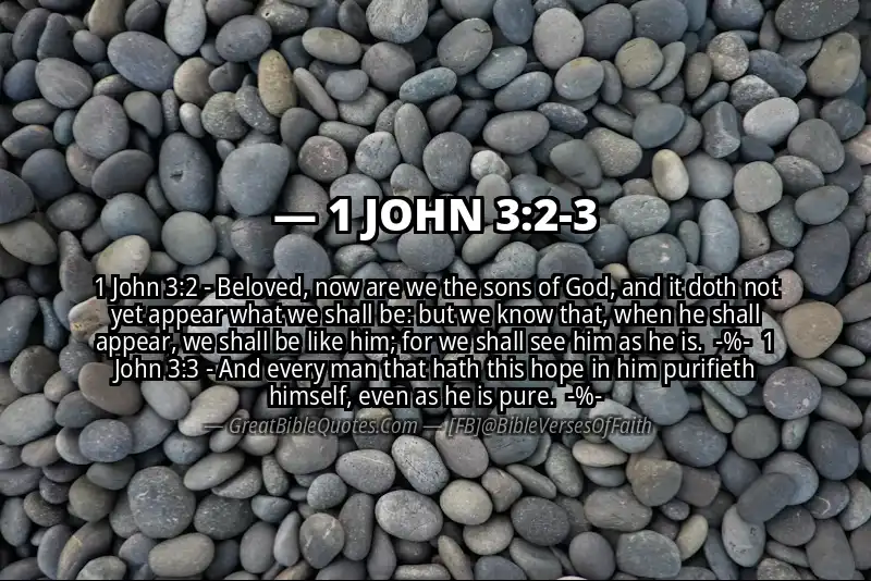 Image for 1 JOHN 3:2-3 Bible verse