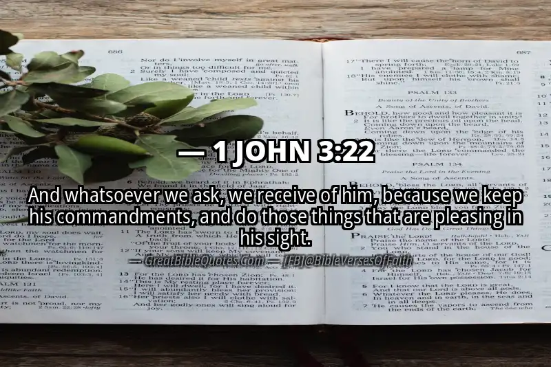 Bible verse: 1 JOHN 3:22 Image