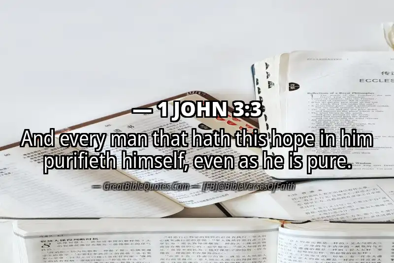 Bible verse: 1 JOHN 3:3 Image