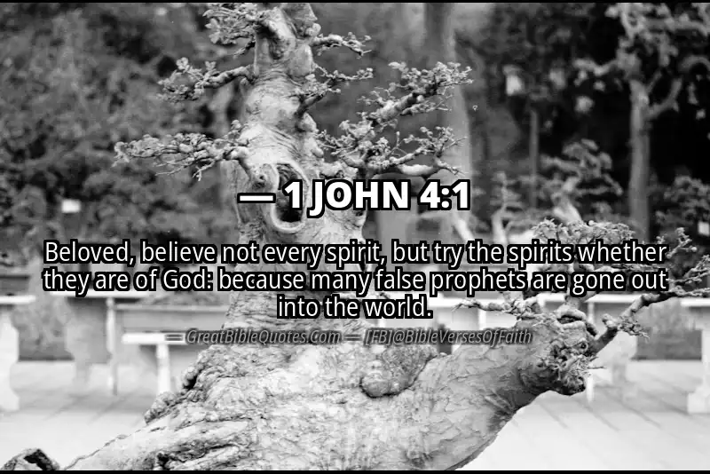 Bible verse: 1 JOHN 4:1 Image