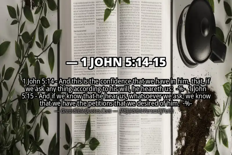 Image for 1 JOHN 5:14-15 Bible verse