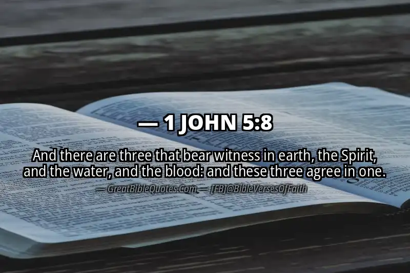 Bible verse: 1 JOHN 5:8 Image