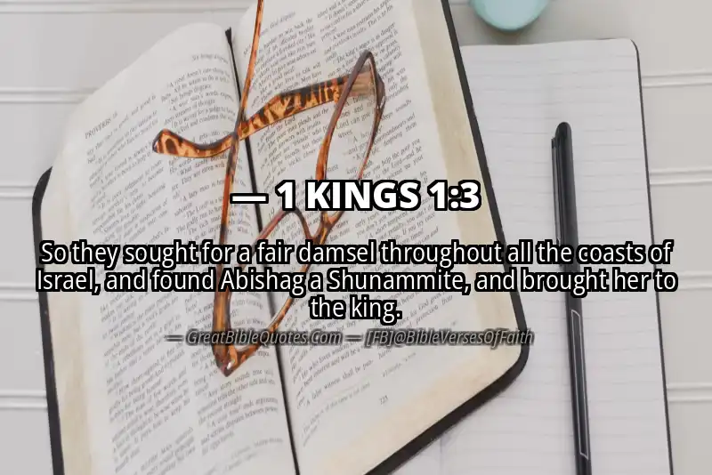 Bible verse: 1 KINGS 1:3 Image