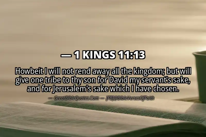 1 KINGS 11:13 Verse