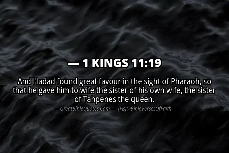 1 KINGS 11:19 Verse