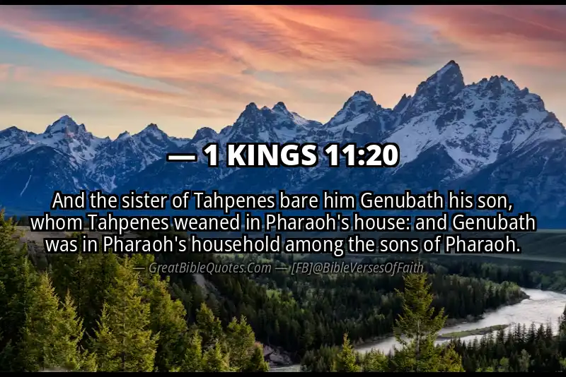 1 KINGS 11:20 Verse