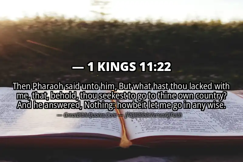 1 KINGS 11:22 Verse