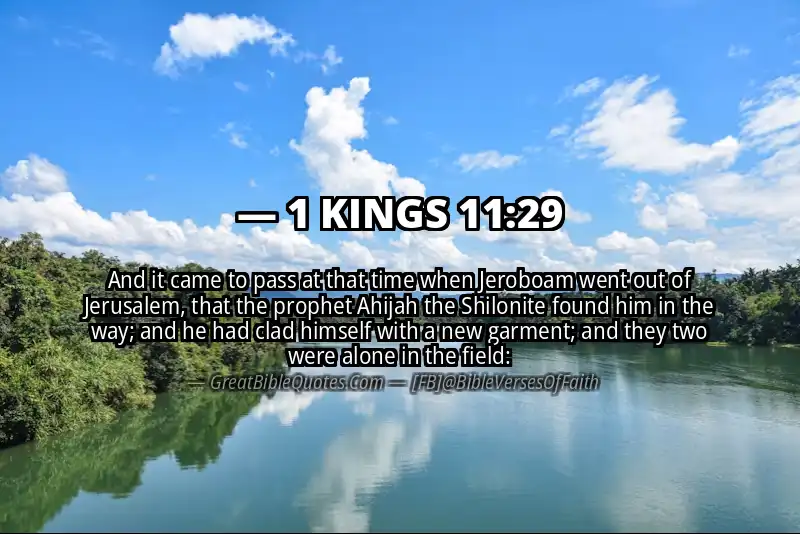 1 KINGS 11:29 Verse Image