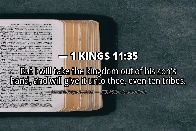 1 KINGS 11:35 Verse