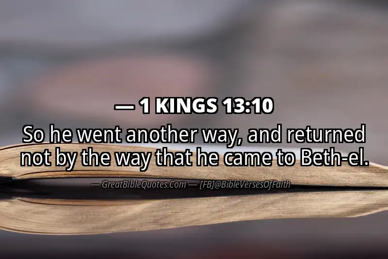 1 KINGS 13:10 Verse