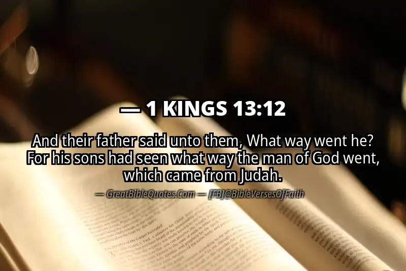 1 KINGS 13:12 Verse