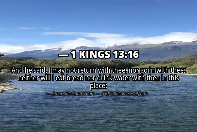 1 KINGS 13:16 Verse