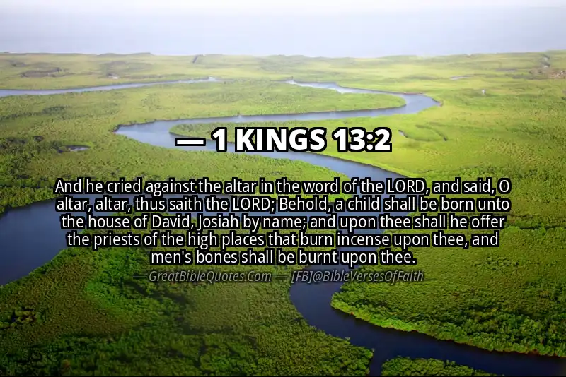 1 KINGS 13:2 Verse