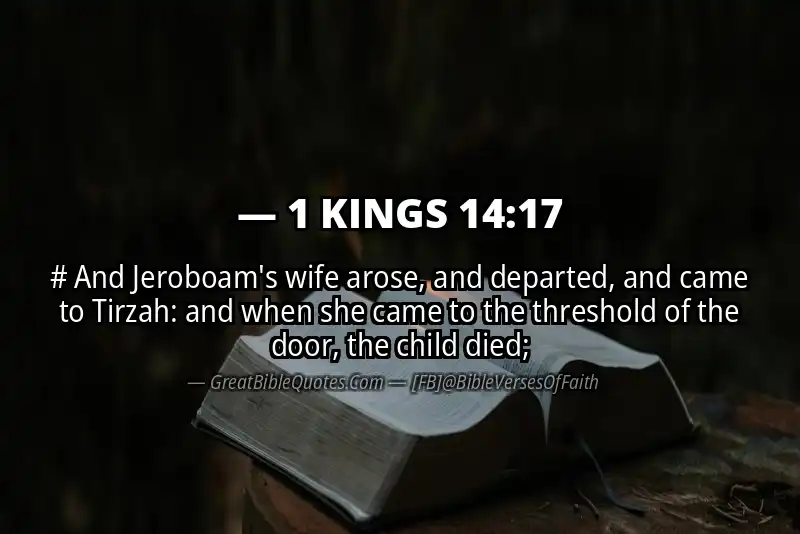 1 KINGS 14:17 Verse
