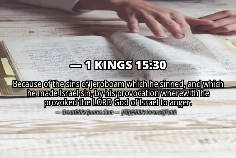 1 KINGS 15:30 Verse
