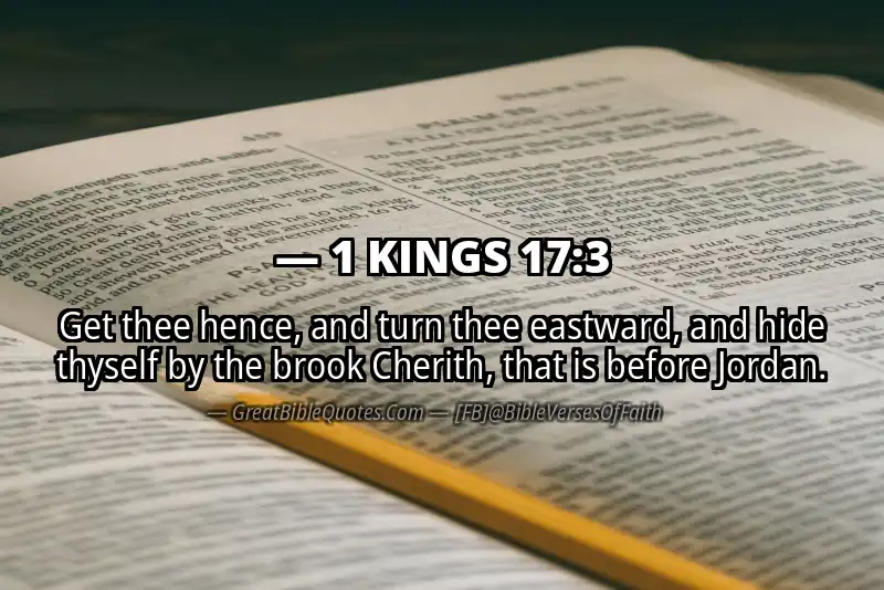 1 KINGS 17:3 Verse