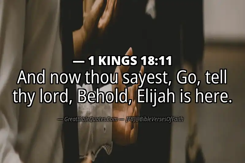 1 KINGS 18:11 Verse