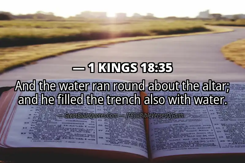 1 KINGS 18:35 Verse