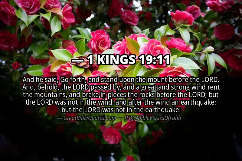 1 KINGS 19:11 Verse