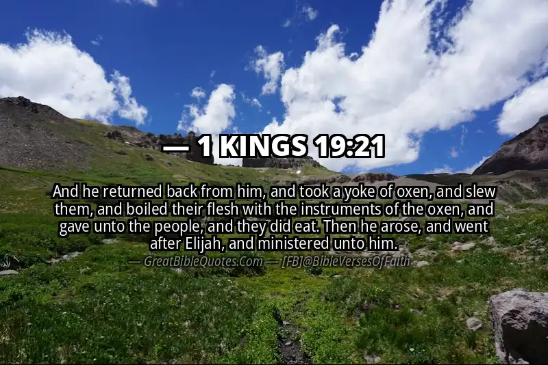 1 KINGS 19:21 Verse