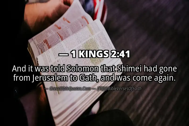 1 KINGS 2:41 Verse