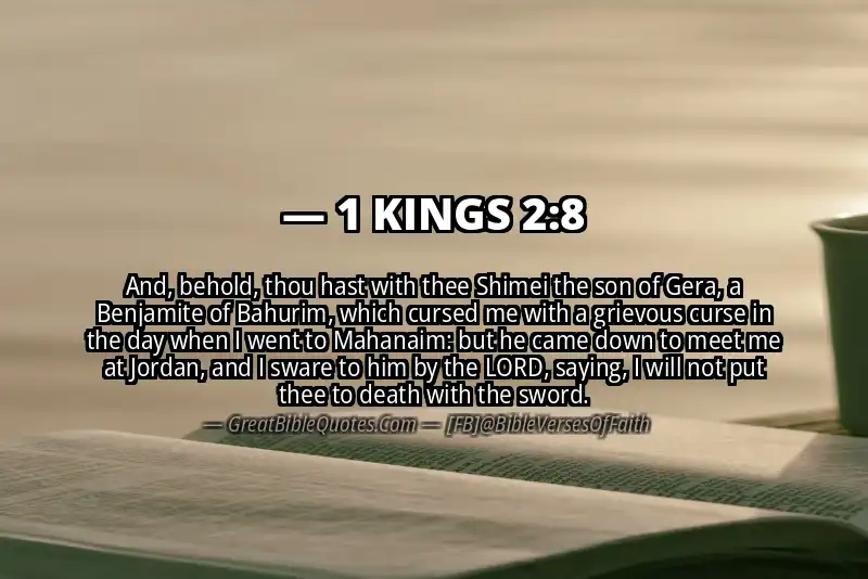 1 KINGS 2:8 Verse