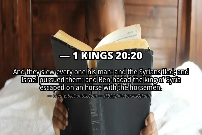 1 KINGS 20:20 Verse