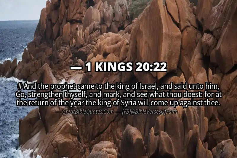 1 KINGS 20:22 Verse