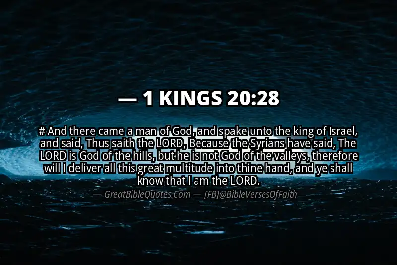 1 KINGS 20:28 Verse