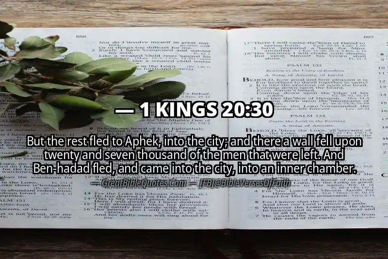 1 KINGS 20:30 Verse