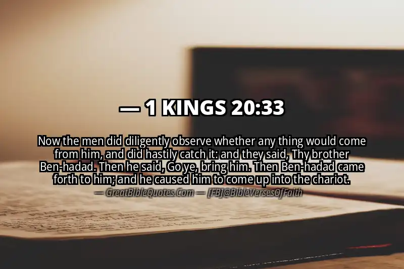 1 KINGS 20:33 Verse