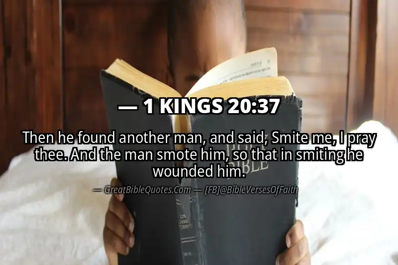 1 KINGS 20:37 Verse