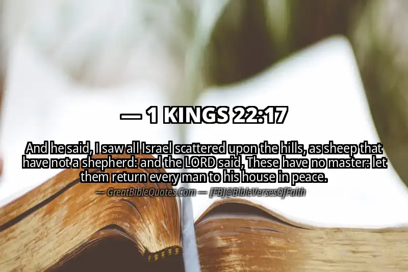 1 KINGS 22:17 Verse