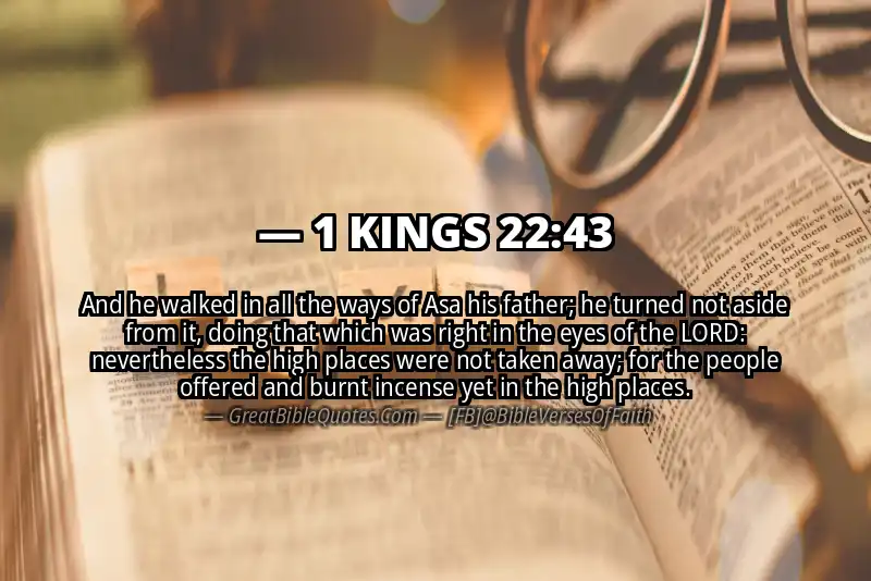 1 KINGS 22:43 Verse