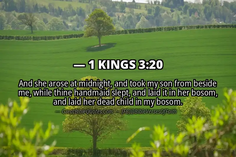 1 KINGS 3:20 Verse